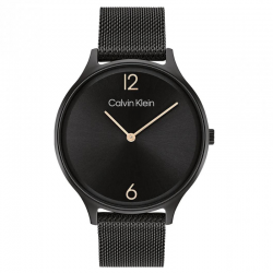 Calvin Klein Montre Femme...