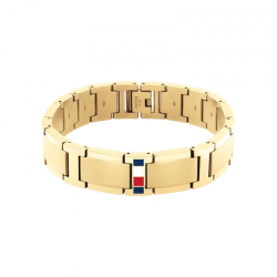Bracelet Jameson en Acier Doré Tommy Hilfiger | 2790658