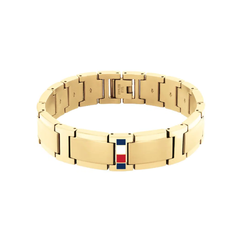 Bracelet Jameson en Acier Doré Tommy Hilfiger | 2790658
