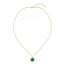 Collier Doré Oeil de Crocodile Lacoste | 2040560