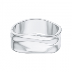 Jonc Elemental Acier Calvin Klein | 35000640