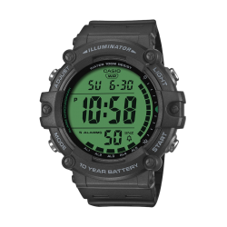 Montre CASIO...