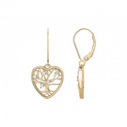 Boucles d’oreilles plaqué...
